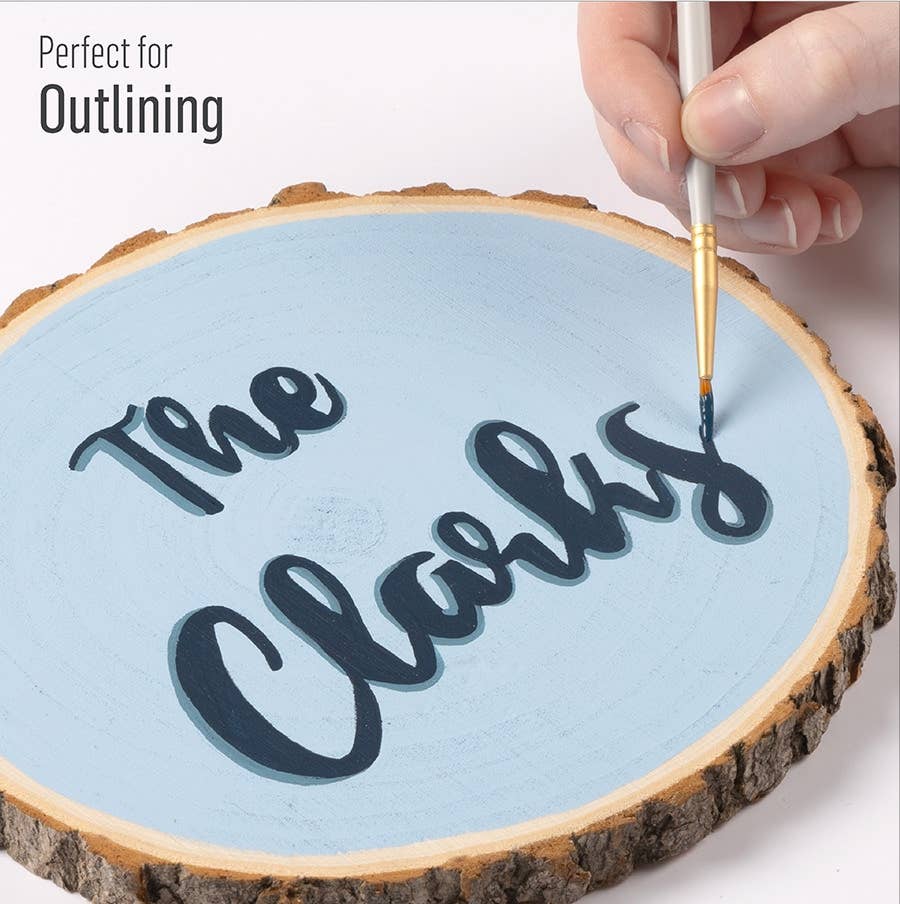 FolkArt Artist Variety Brush Set 10 Piece